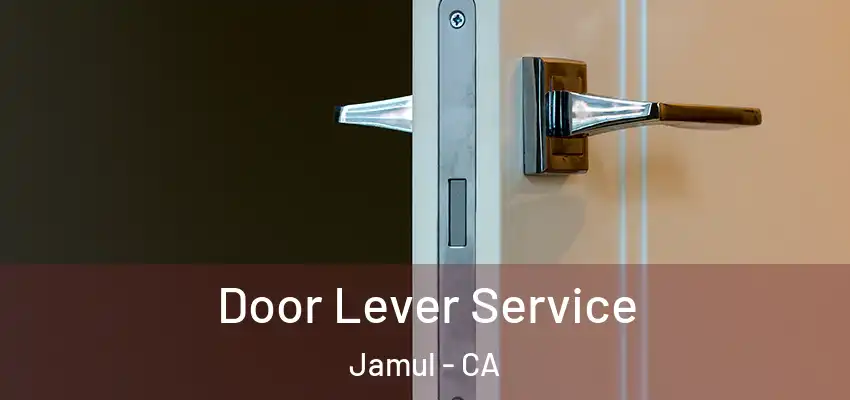  Door Lever Service Jamul - CA